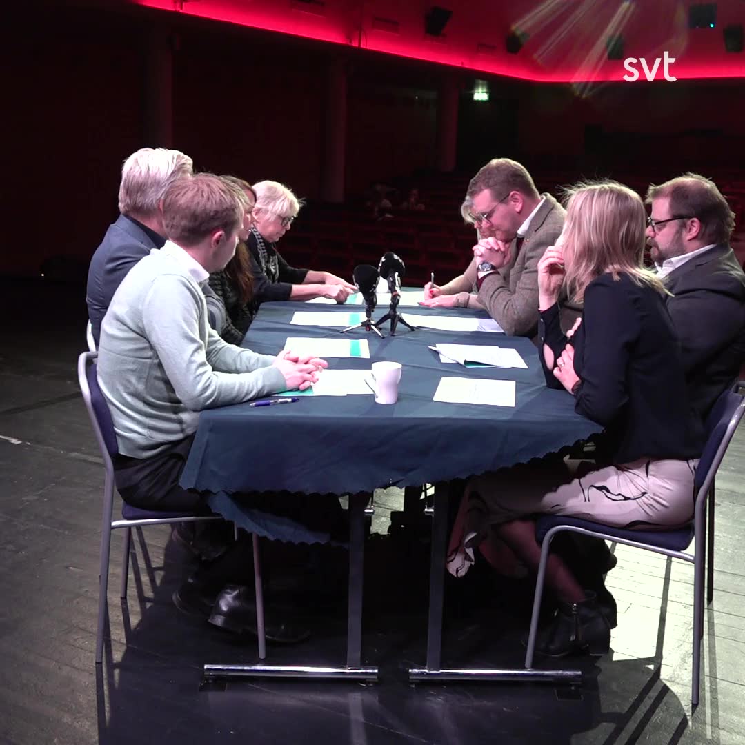 Therése Metz (MP): ”De korta, korta resorna – där bör vi lägga all kraft”